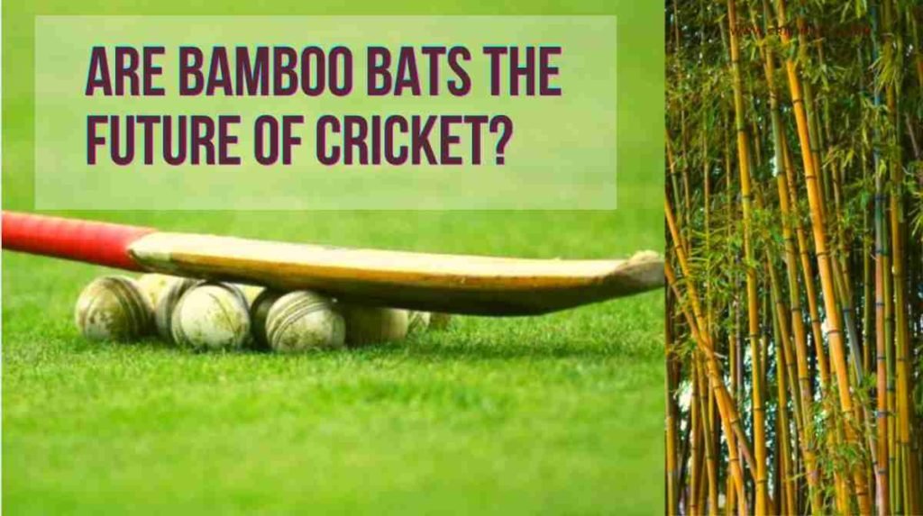 bamboo bats in cricket