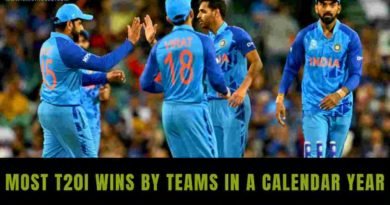 most wins in a calendar year in t20i cricket