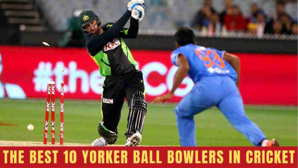 best yorker bowlers in cricket