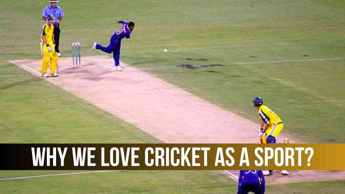 Here is Why We Love Cricket as a Sport