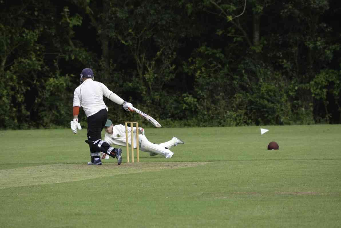 Following Every Six: How Apps Are Transforming the Cricket Experience