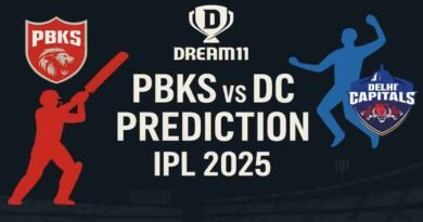 punjab delhi and dream11 winning team
