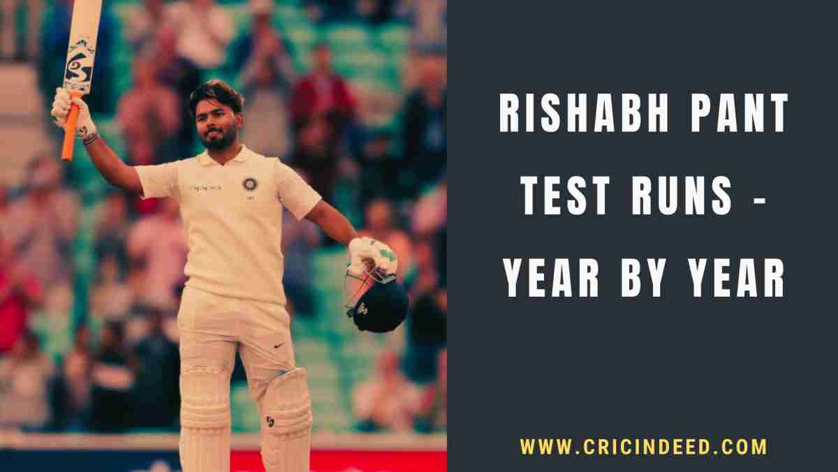 Rishabh Pant Test Runs – Year by Year