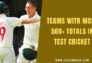 australian batsmen in test cricket labuschagne and smith