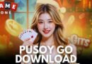 Pusoy go
