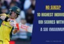 david warner scoring 173 without hitting a six in the innings