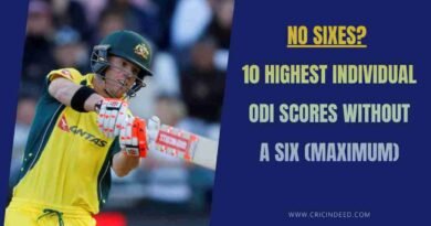 david warner scoring 173 without hitting a six in the innings