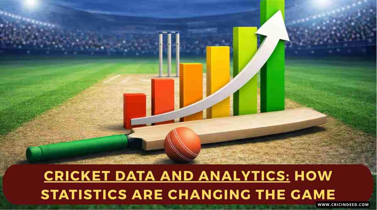 The Best Cricket Statistics: Why Fans Love Data & Analytics