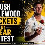 Josh Hazlewood Wickets by Year in Test
